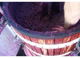 Basket Press in Action