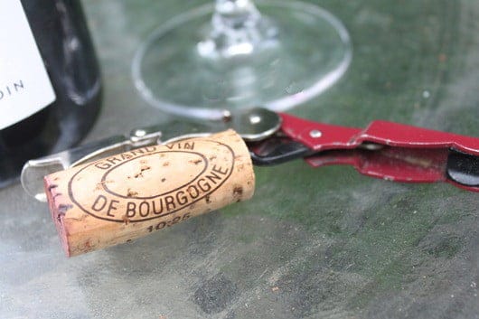 vincent-girardin-pinot-noir