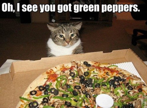 funny-pics-cat-pizza