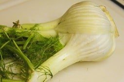 Fennel